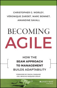 Becoming Agile : How The Seam Approach To Management Builds Adaptability