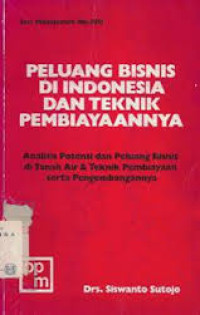 Peluang bisnis di Indonesia dan teknik pembiayaannya