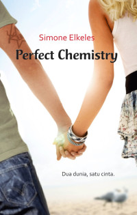 Perfect Chemistry